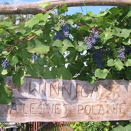 Winnica Na Lesnej Polanie Zabor Exteriér fotografie